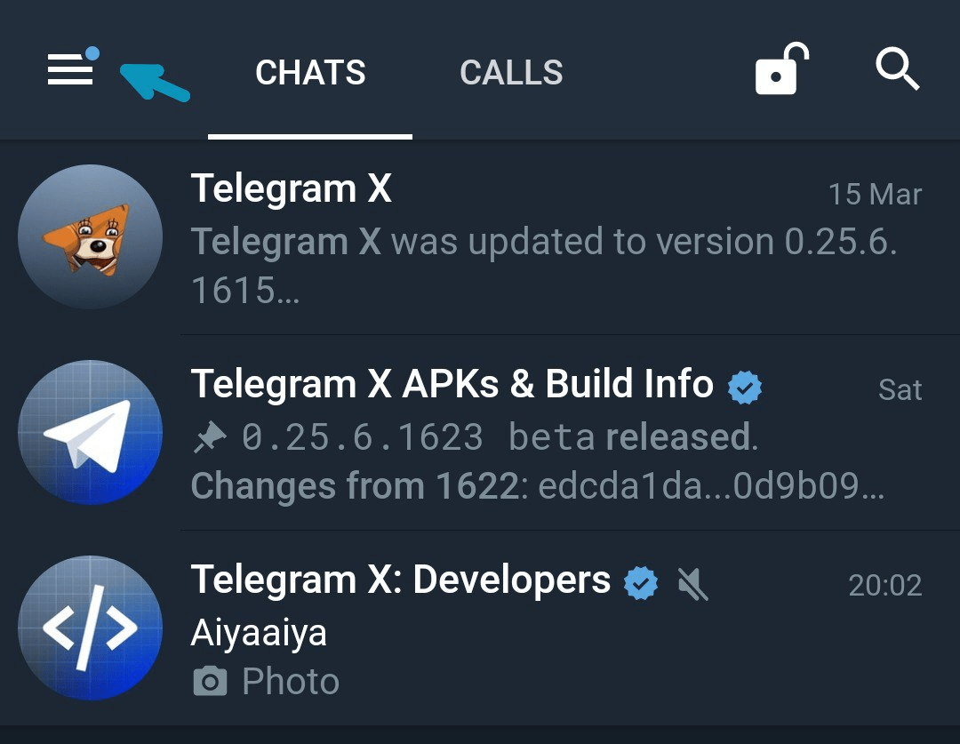 Telegram X