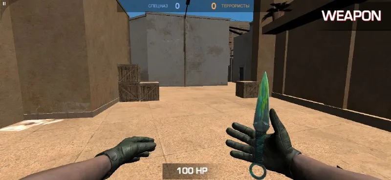 Приватный Сервер Антон Снак