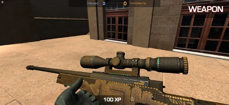 Приватный Сервер Антон Снак