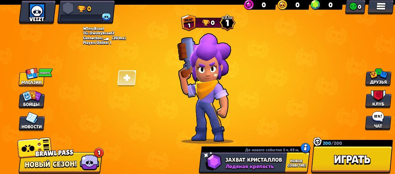 Приватка Winty Brawl