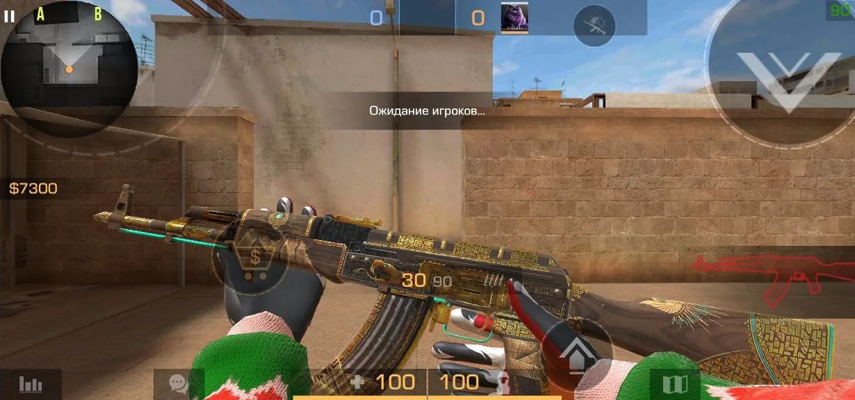 Приватный Сервер StandRed