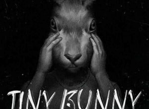 Tiny Bunny EP. 5